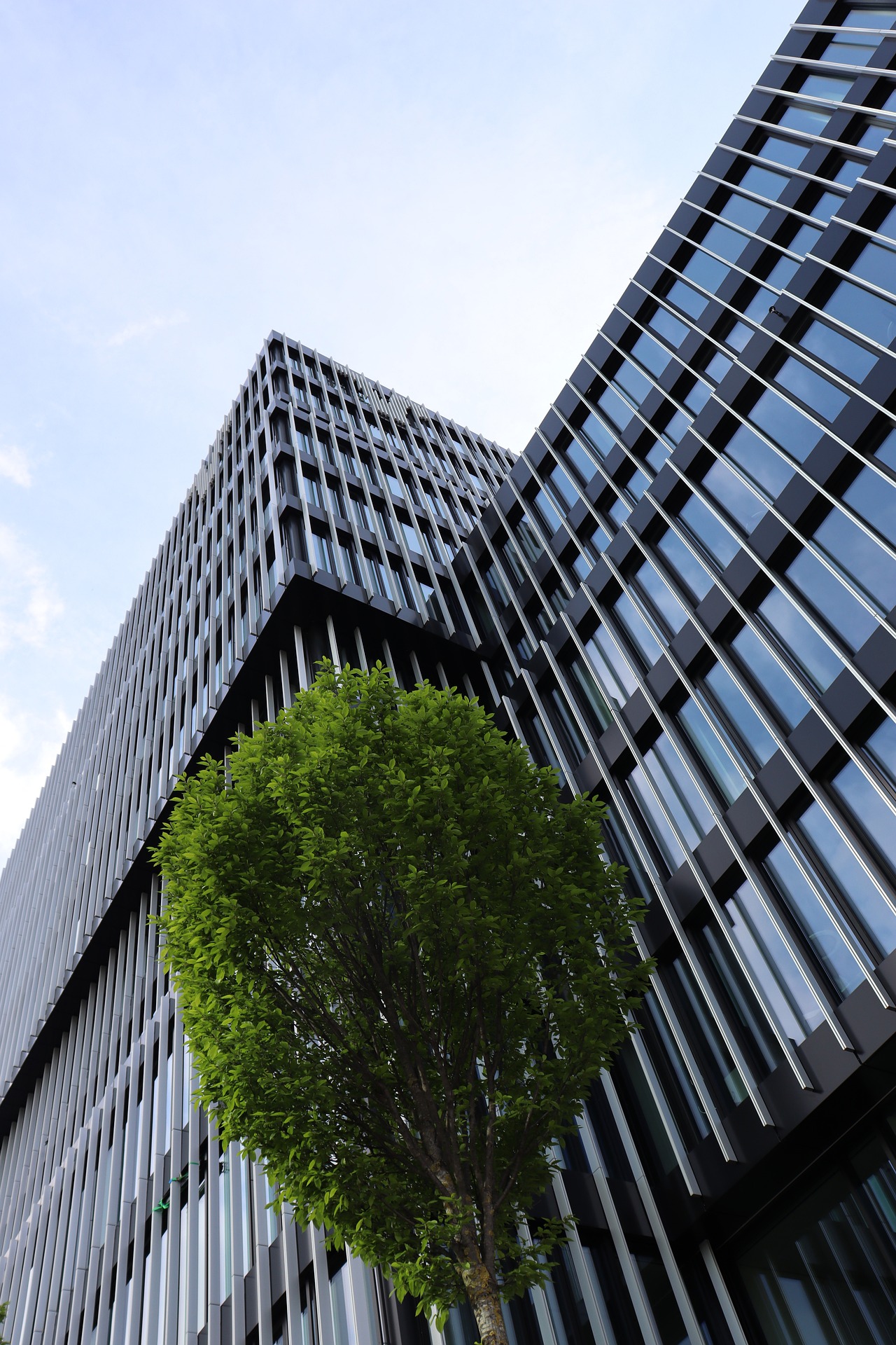 Green Building