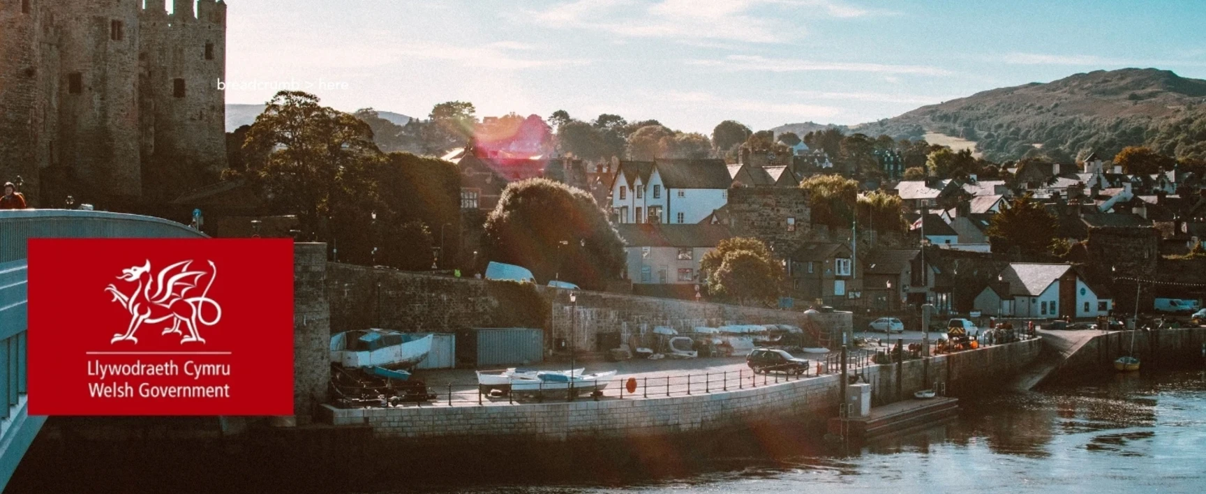 welsh regulations header image 3